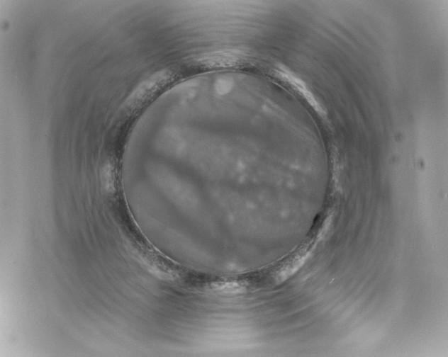 X0000075830161200609291431