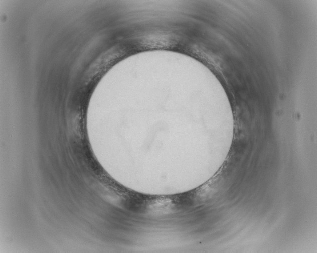 X0000075830162200609291431