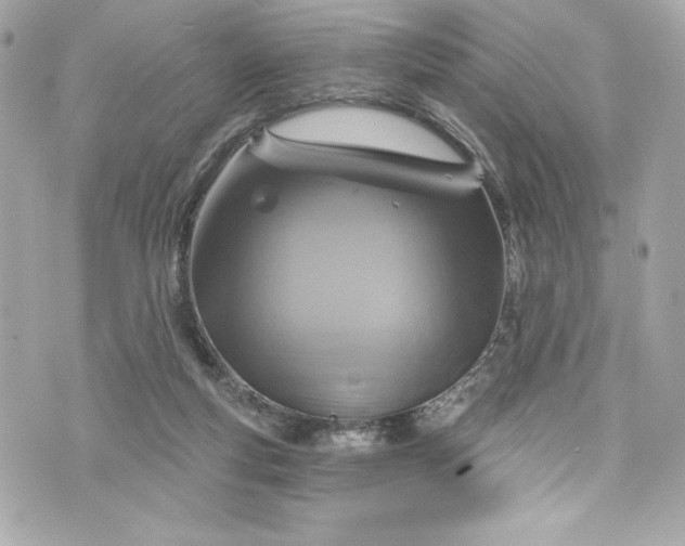 X0000075830163200609291431