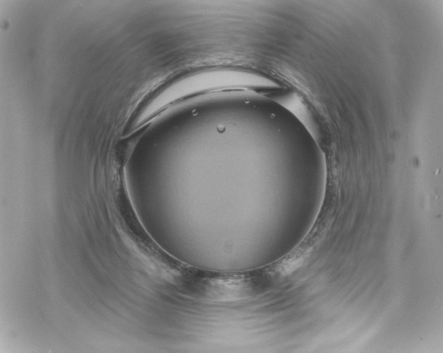 X0000075830164200609291431