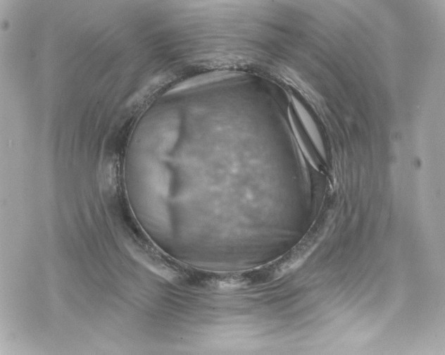 X0000075830165200609291431