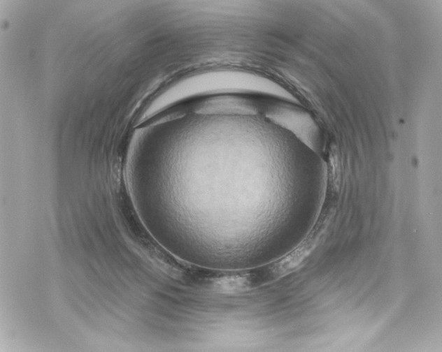 X0000075830168200609291431