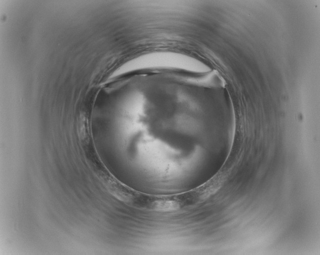 X0000075830169200609291431