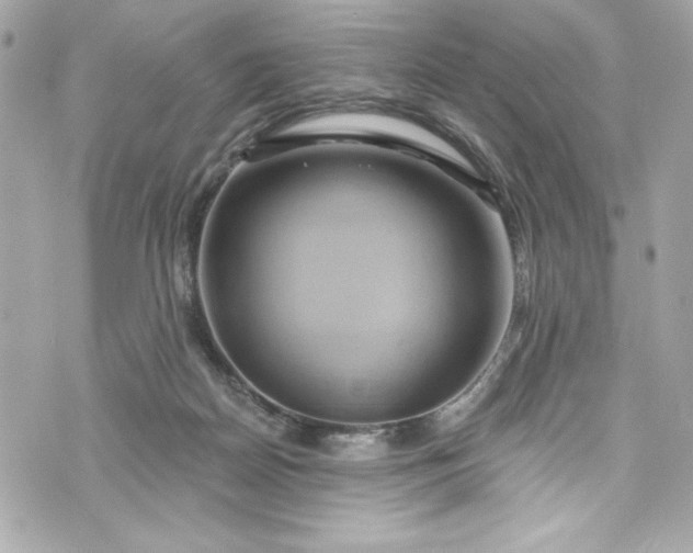 X0000075830170200609291431