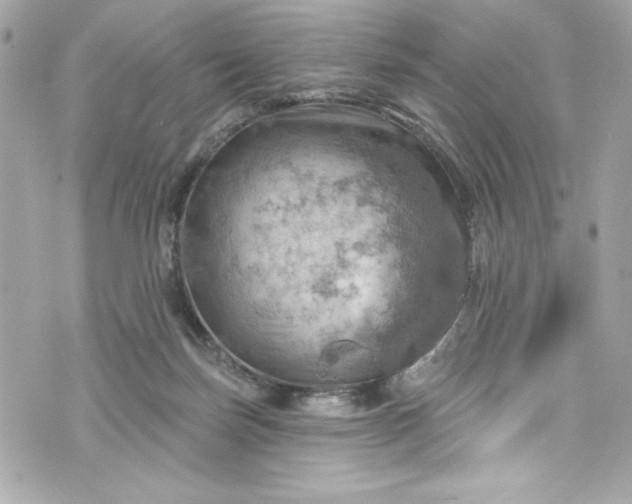 X0000075830171200609291431