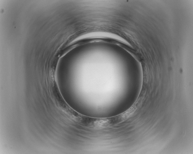 X0000075830172200609291431