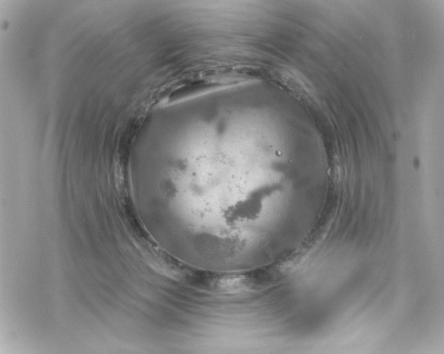 X0000075830173200609291431