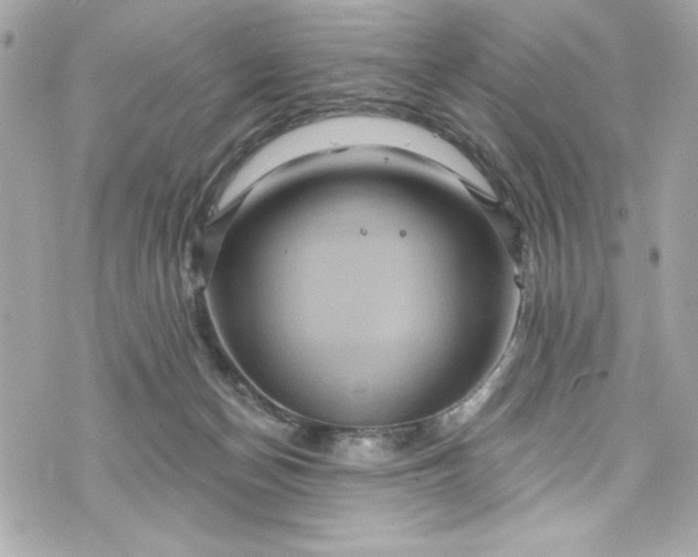 X0000075830174200609291431