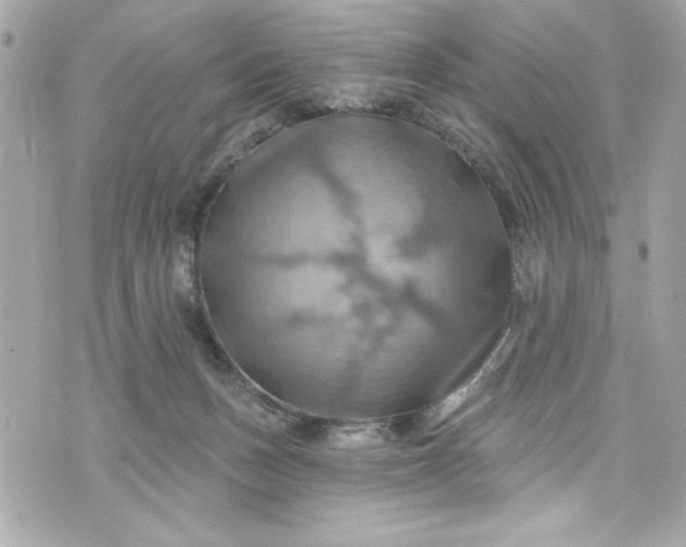 X0000075830175200609291431