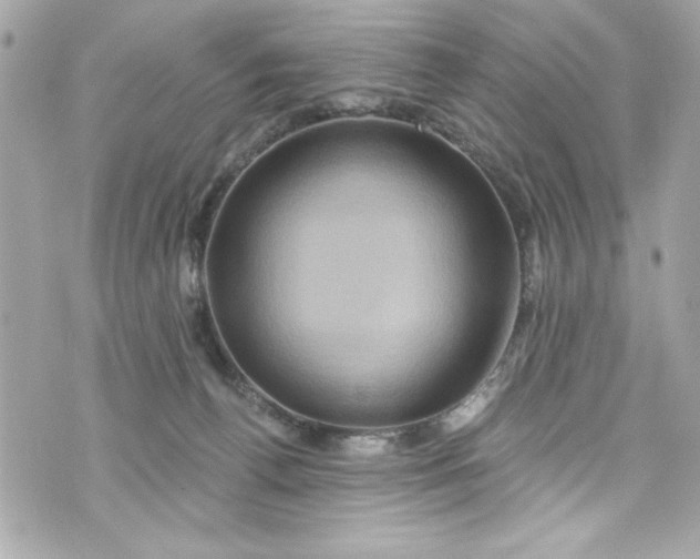 X0000075830176200609291431