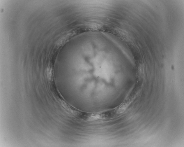 X0000075830177200609291431