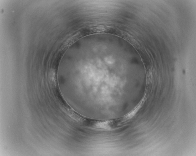 X0000075830178200609291431