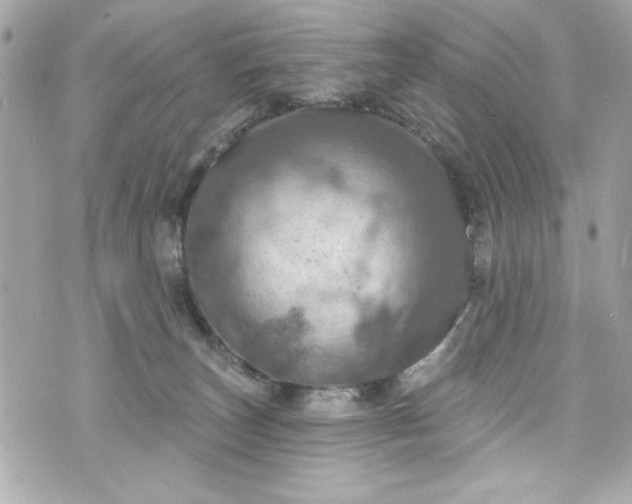 X0000075830179200609291431