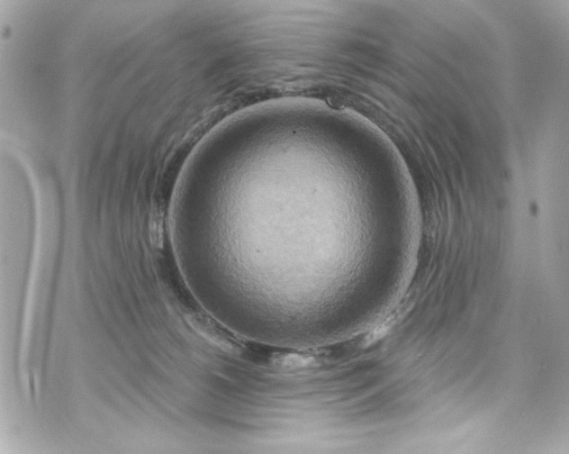 X0000075830180200609291431