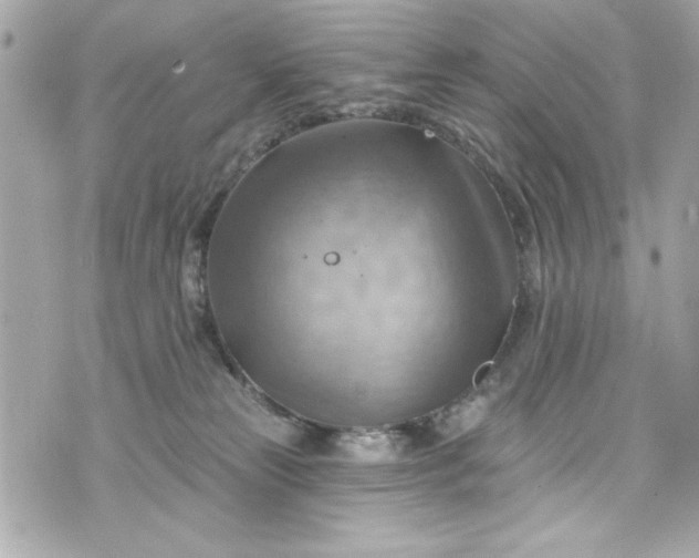 X0000075830181200609291431