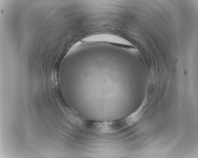 X0000075830182200609291431