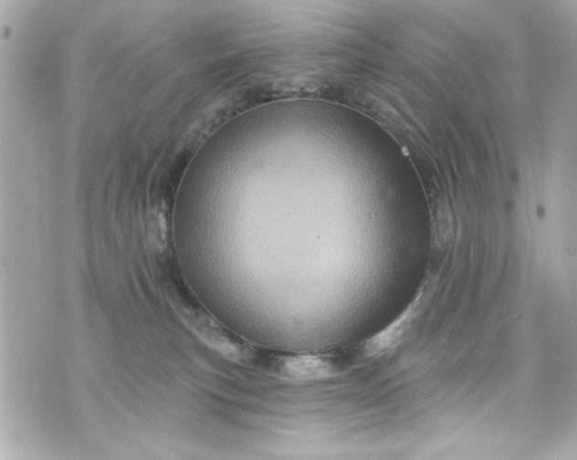 X0000075830183200609291431