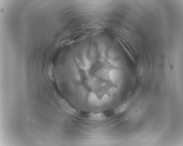 X0000075830185200609291431