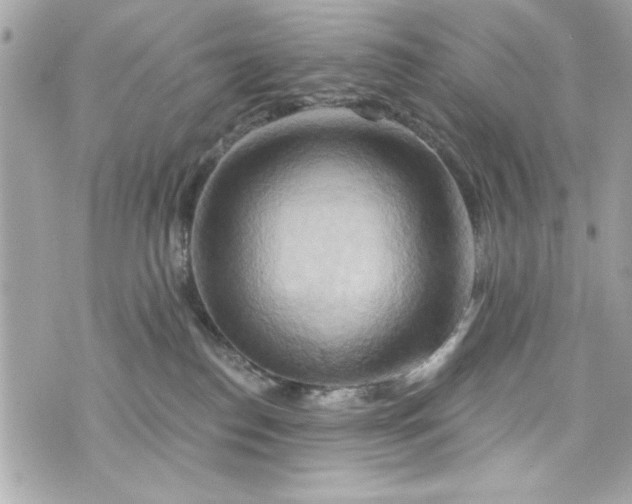 X0000075830186200609291431