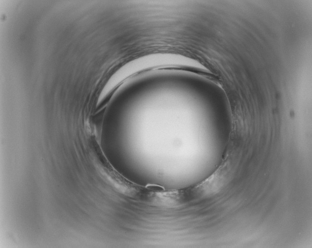 X0000075830188200609291431