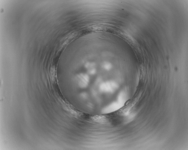 X0000075830189200609291431