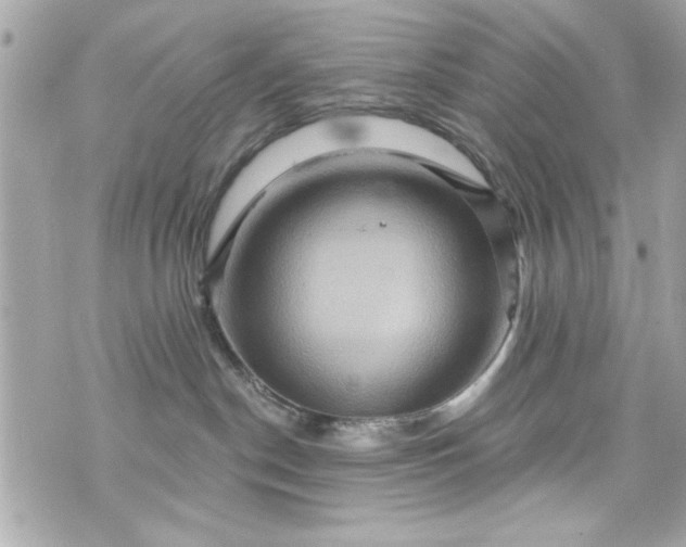 X0000075830190200609291431