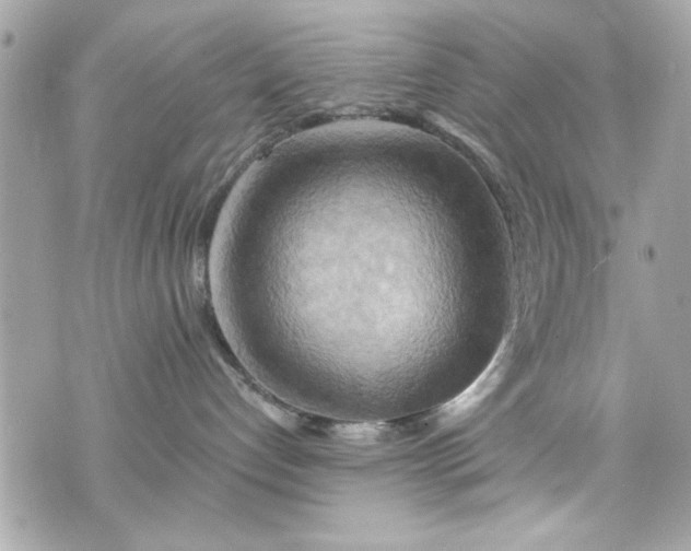 X0000075830192200609291431