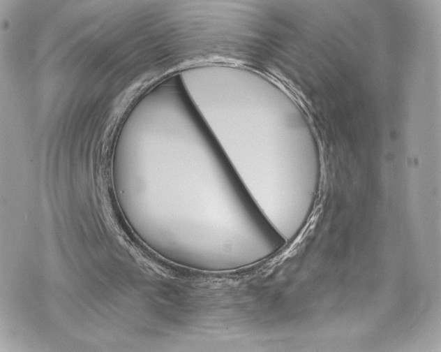 X0000075830193200609291430