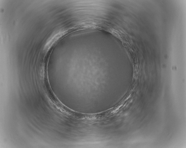 X0000075830194200609291430