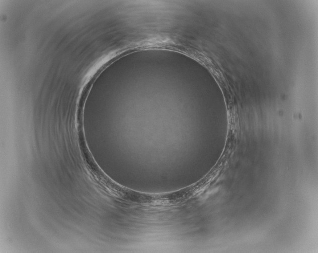 X0000075830196200609291430