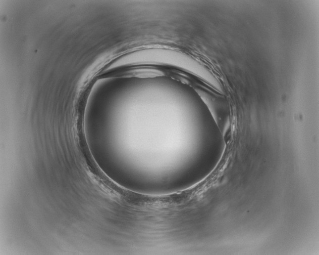 X0000075830197200609291430