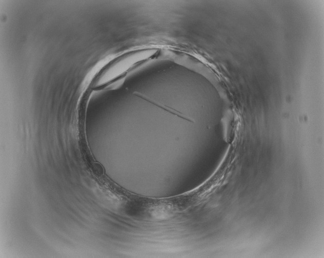 X0000075830200200609291430