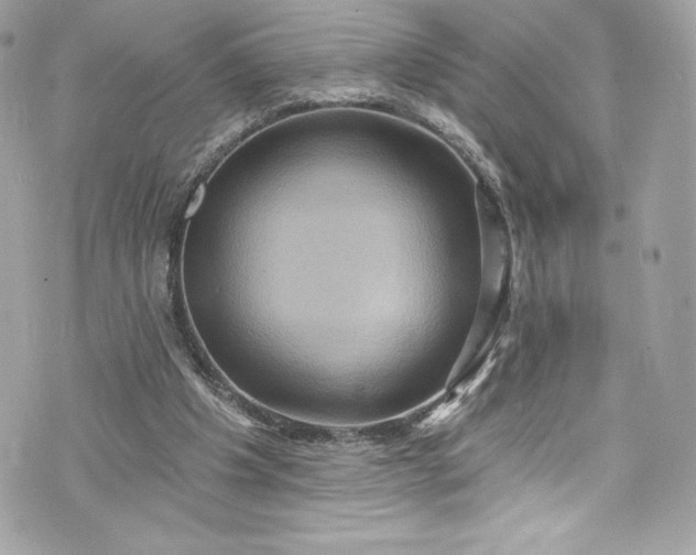 X0000075830201200609291430