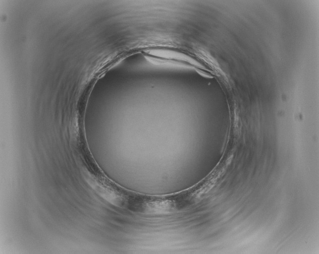 X0000075830202200609291430