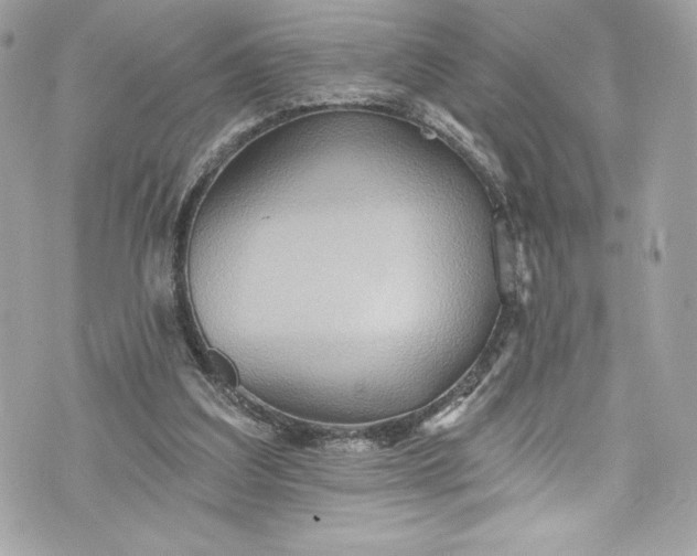 X0000075830203200609291430