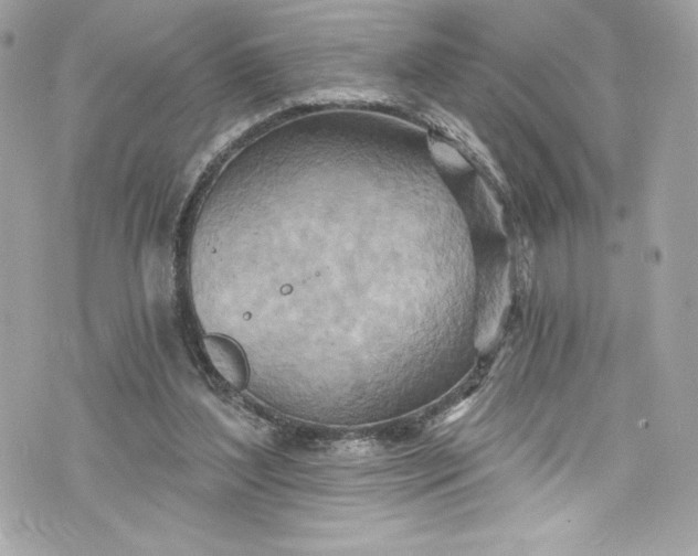 X0000075830204200609291430