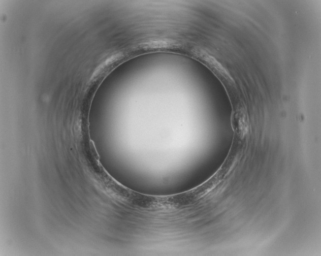 X0000075830207200609291430