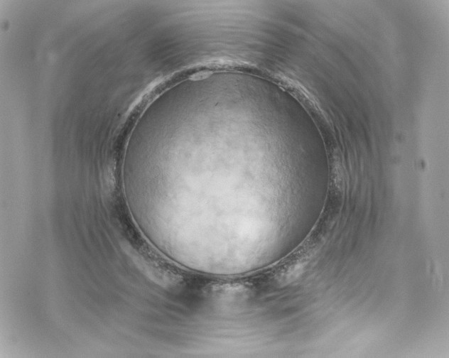 X0000075830208200609291430