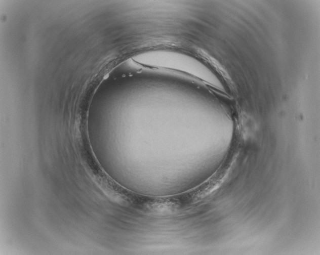 X0000075830209200609291430