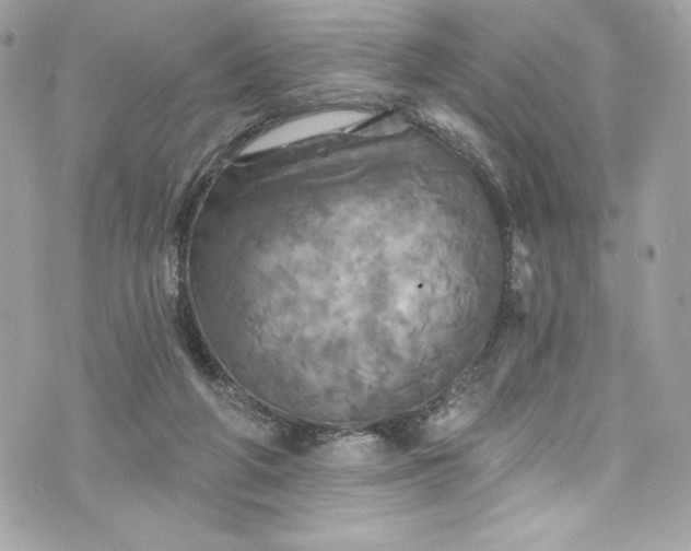 X0000075830210200609291430