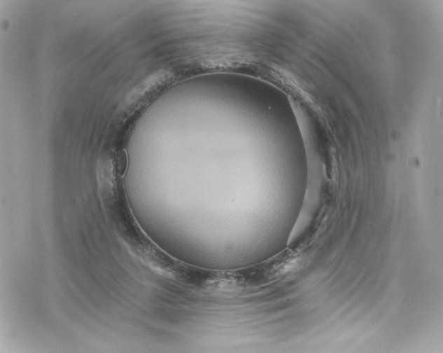 X0000075830211200609291430