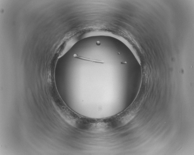 X0000075830212200609291430