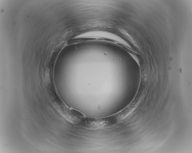 X0000075830213200609291430