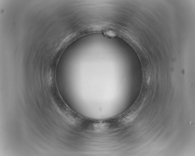 X0000075830216200609291430