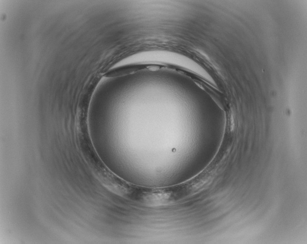 X0000075830217200609291430