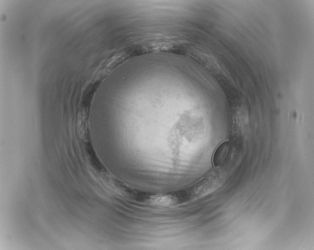 X0000075830218200609291430