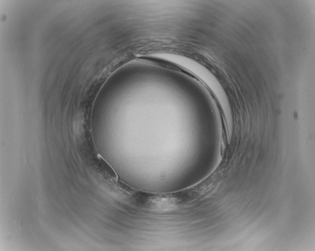 X0000075830221200609291430