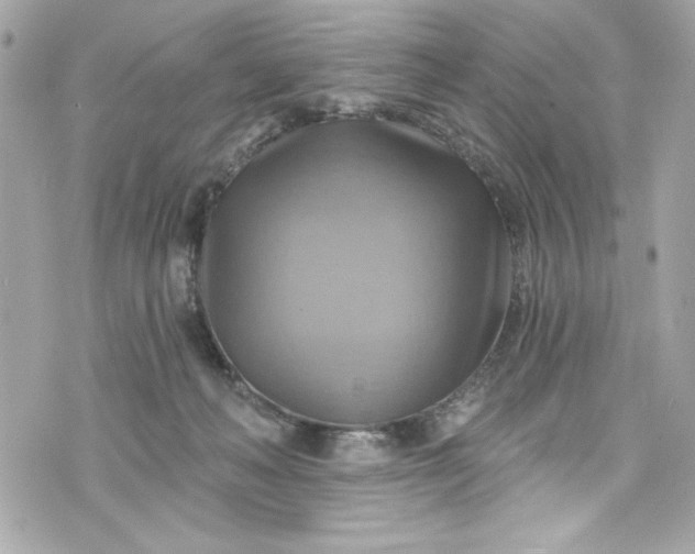 X0000075830222200609291430