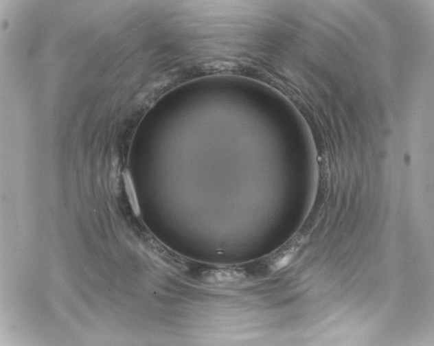 X0000075830223200609291430