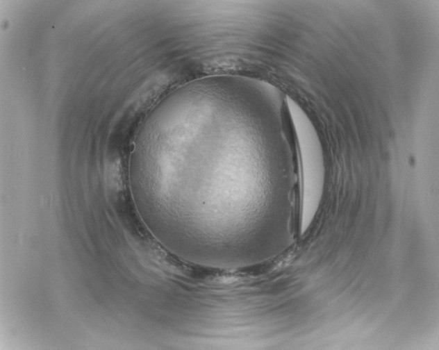 X0000075830224200609291430